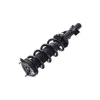Suspension Strut and Coil Spring Assembly LS33-81831R