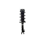 Suspension Strut and Coil Spring Assembly LS33-81841L
