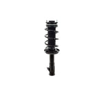 Suspension Strut and Coil Spring Assembly LS33-81841L