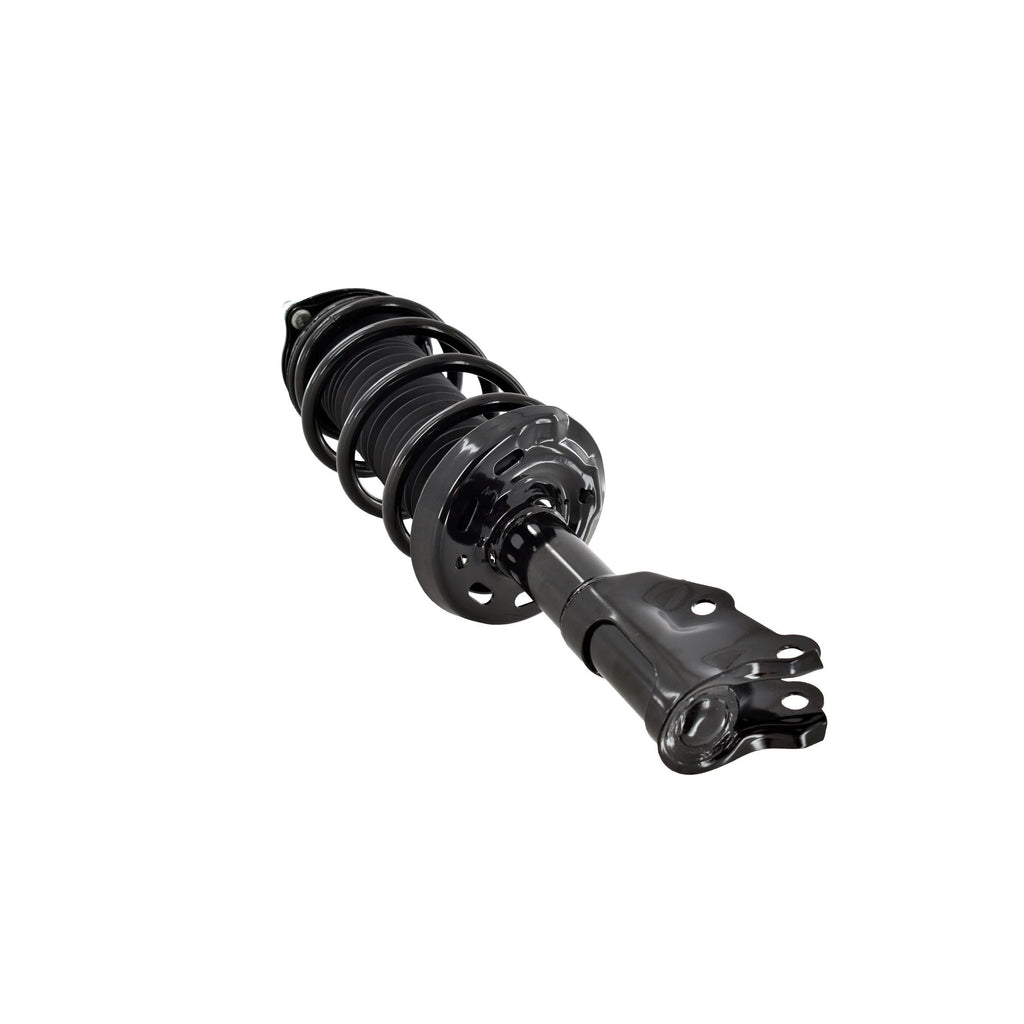 Suspension Strut and Coil Spring Assembly LS33-81841L