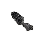 Suspension Strut and Coil Spring Assembly LS33-81841L