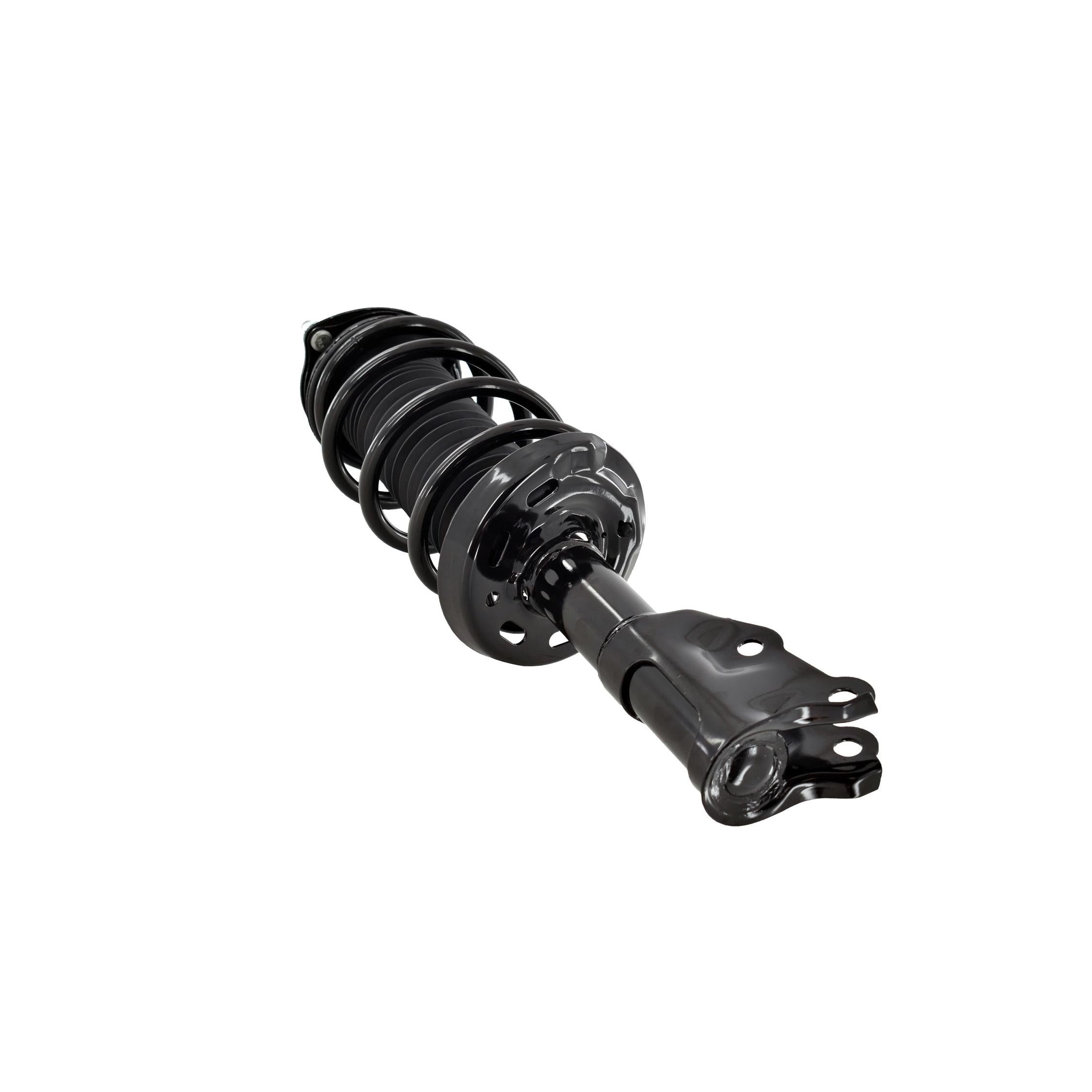 Suspension Strut and Coil Spring Assembly LS33-81841L