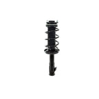 Suspension Strut and Coil Spring Assembly LS33-81841R