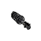 Suspension Strut and Coil Spring Assembly LS33-81841R