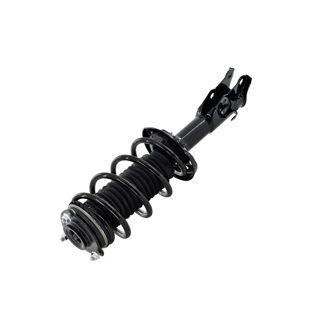Suspension Strut and Coil Spring Assembly LS33-81841R