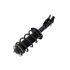 Suspension Strut and Coil Spring Assembly LS33-81841R