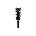 Suspension Strut and Coil Spring Assembly LS33-81871B