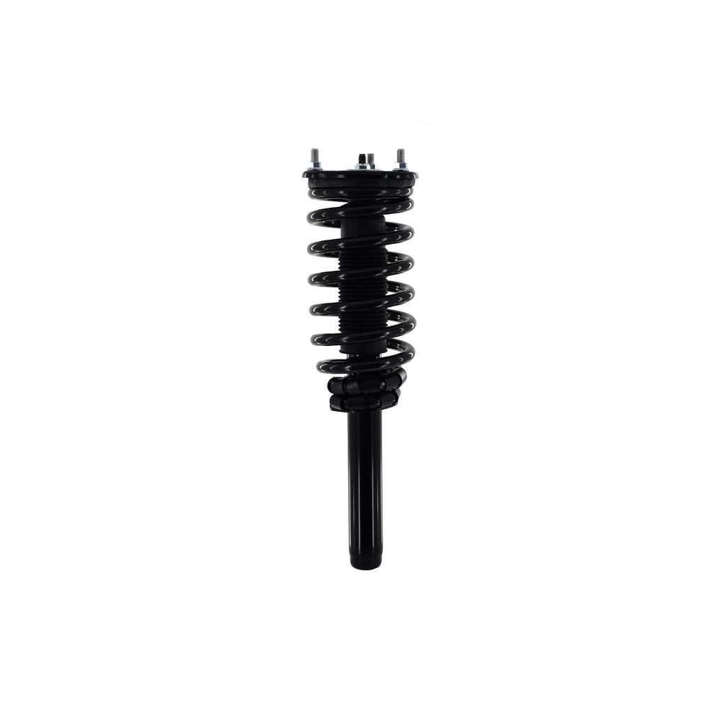 Suspension Strut and Coil Spring Assembly LS33-81871B