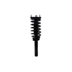 Suspension Strut and Coil Spring Assembly LS33-81871B