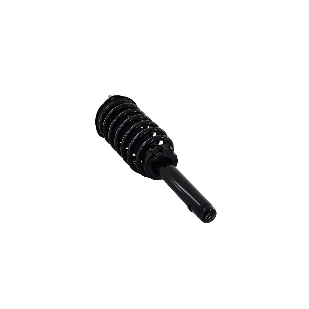 Suspension Strut and Coil Spring Assembly LS33-81871B