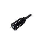 Suspension Strut and Coil Spring Assembly LS33-81871B