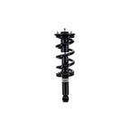 Suspension Strut and Coil Spring Assembly LS33-81881B