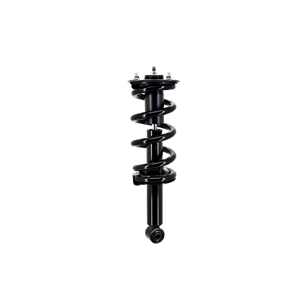 Suspension Strut and Coil Spring Assembly LS33-81881B