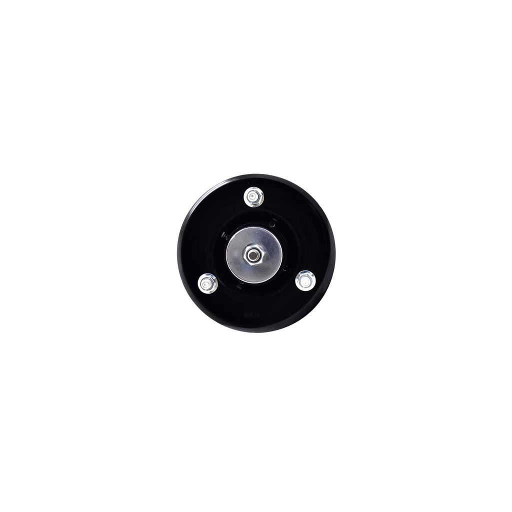 Suspension Strut and Coil Spring Assembly LS33-81881B