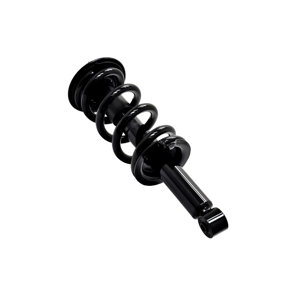 Suspension Strut and Coil Spring Assembly LS33-81881B