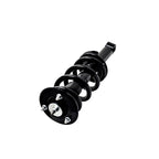 Suspension Strut and Coil Spring Assembly LS33-81881B