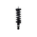 Suspension Strut and Coil Spring Assembly LS33-81901B
