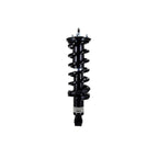 Suspension Strut and Coil Spring Assembly LS33-81901B