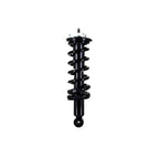 Suspension Strut and Coil Spring Assembly LS33-81901B
