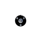 Suspension Strut and Coil Spring Assembly LS33-81901B