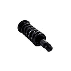 Suspension Strut and Coil Spring Assembly LS33-81901B