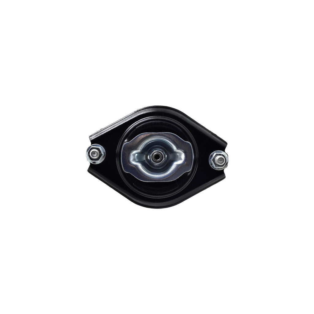 Suspension Strut and Coil Spring Assembly LS33-81912B