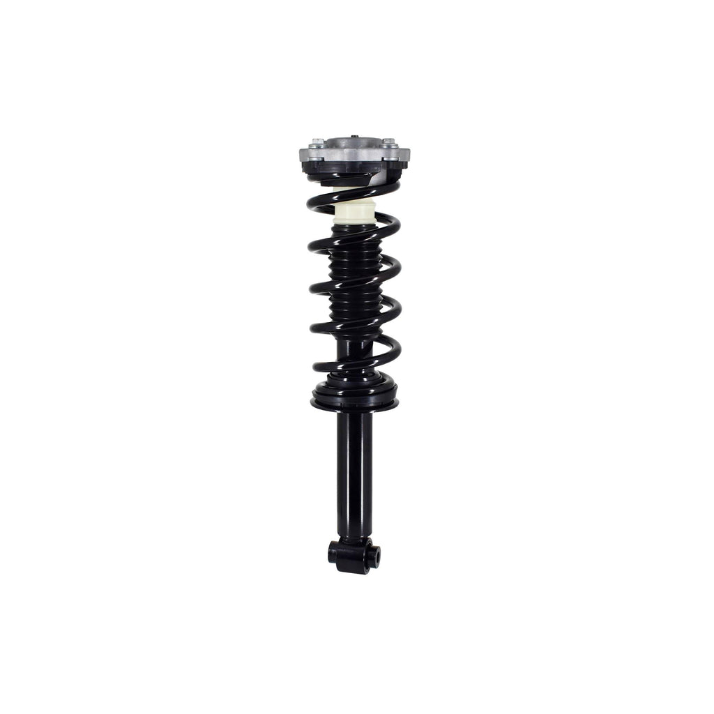 Suspension Strut and Coil Spring Assembly LS33-81932L