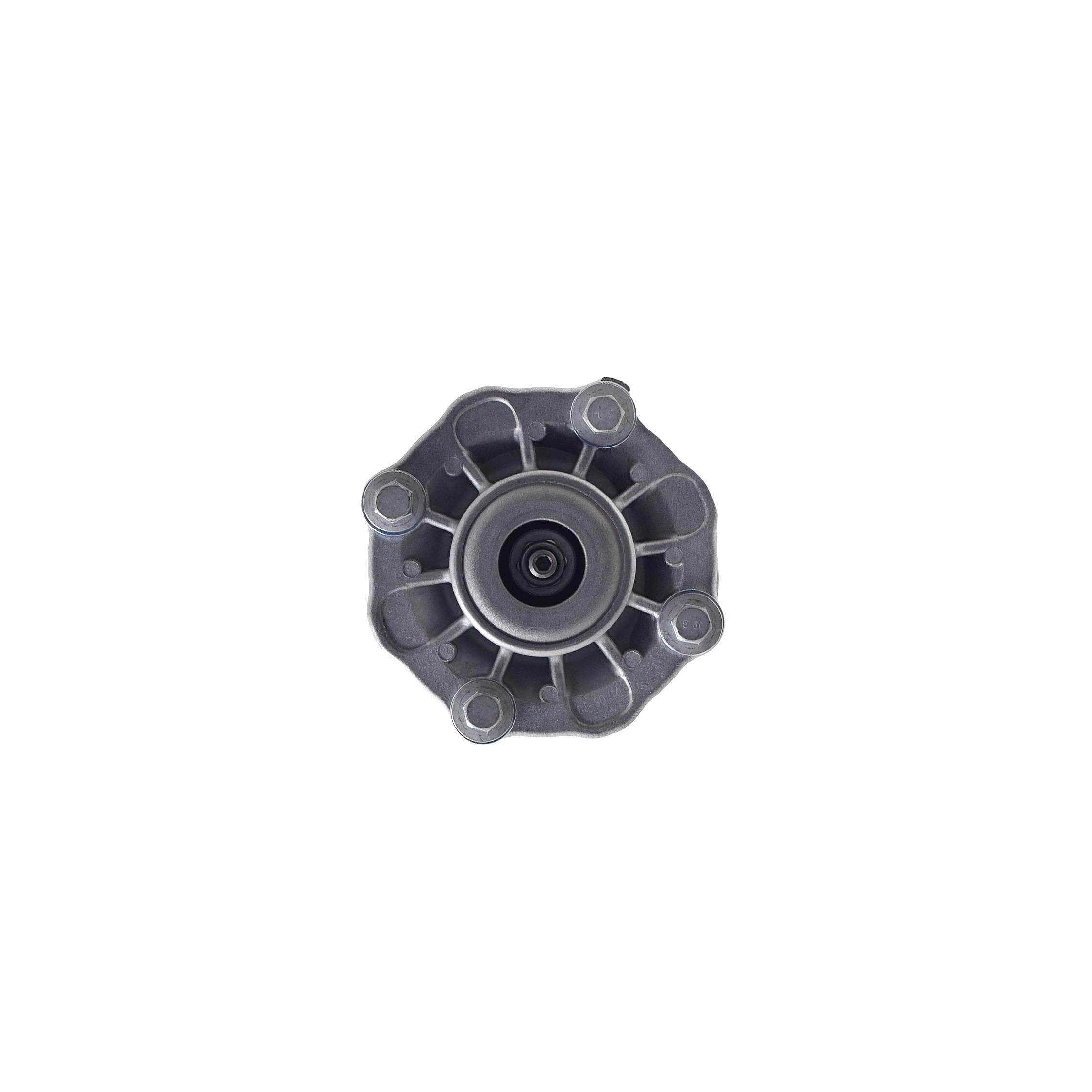 Suspension Strut and Coil Spring Assembly LS33-81932R