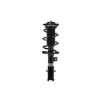 Suspension Strut and Coil Spring Assembly LS33-81941L