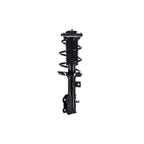Suspension Strut and Coil Spring Assembly LS33-81941L