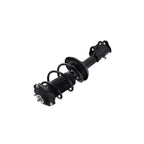 Suspension Strut and Coil Spring Assembly LS33-81941L