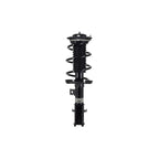 Suspension Strut and Coil Spring Assembly LS33-81941R