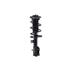 Suspension Strut and Coil Spring Assembly LS33-81941R