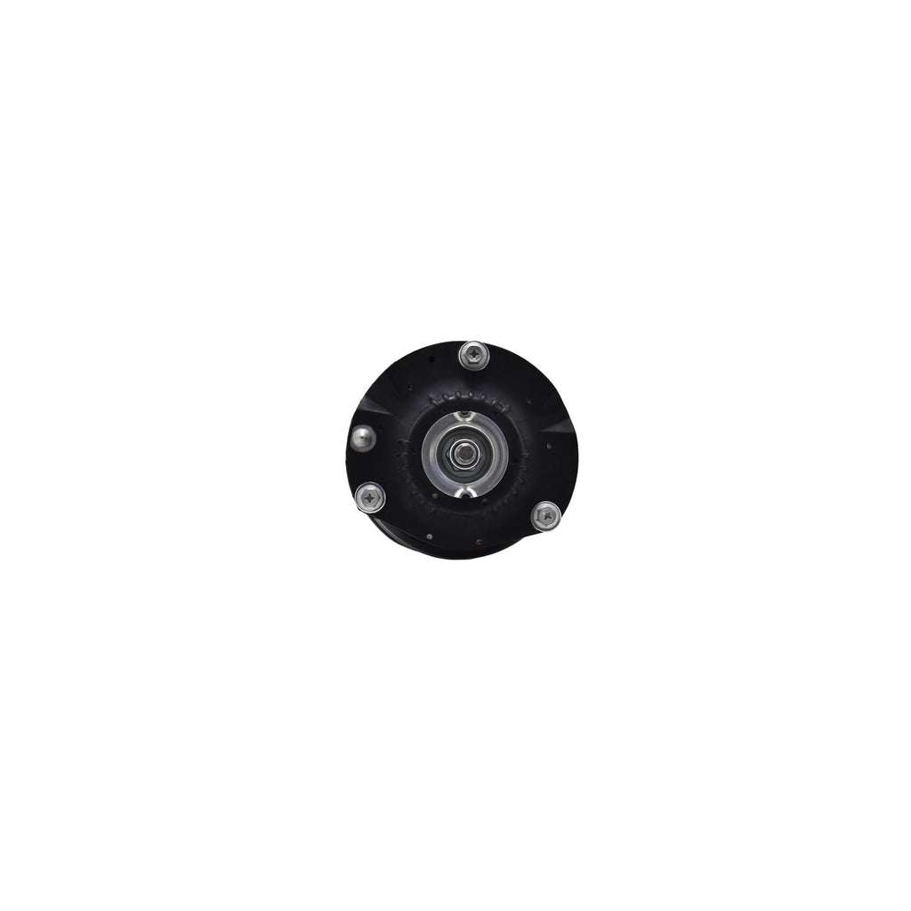 Suspension Strut and Coil Spring Assembly LS33-81941R