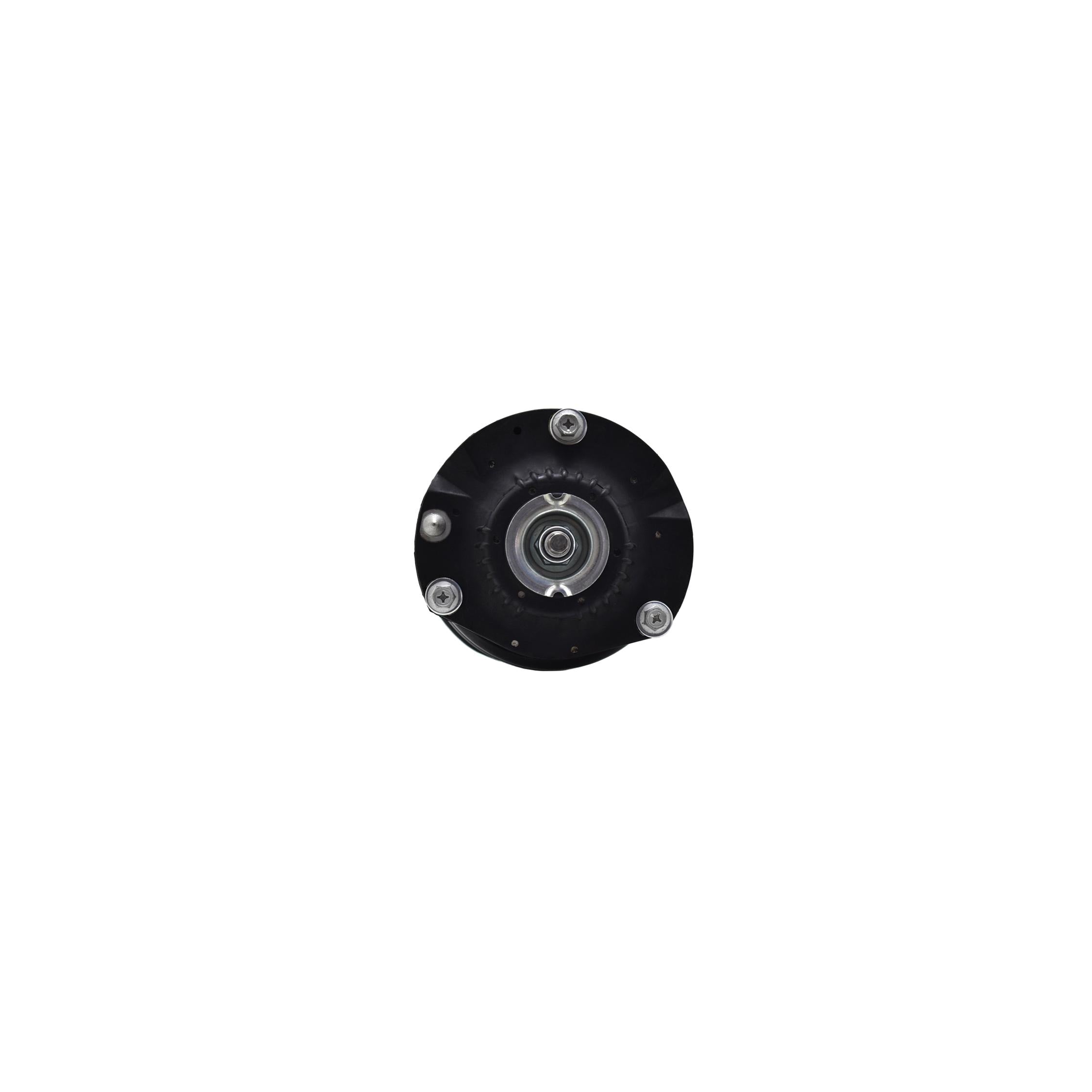 Suspension Strut and Coil Spring Assembly LS33-81941R