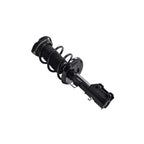 Suspension Strut and Coil Spring Assembly LS33-81941R
