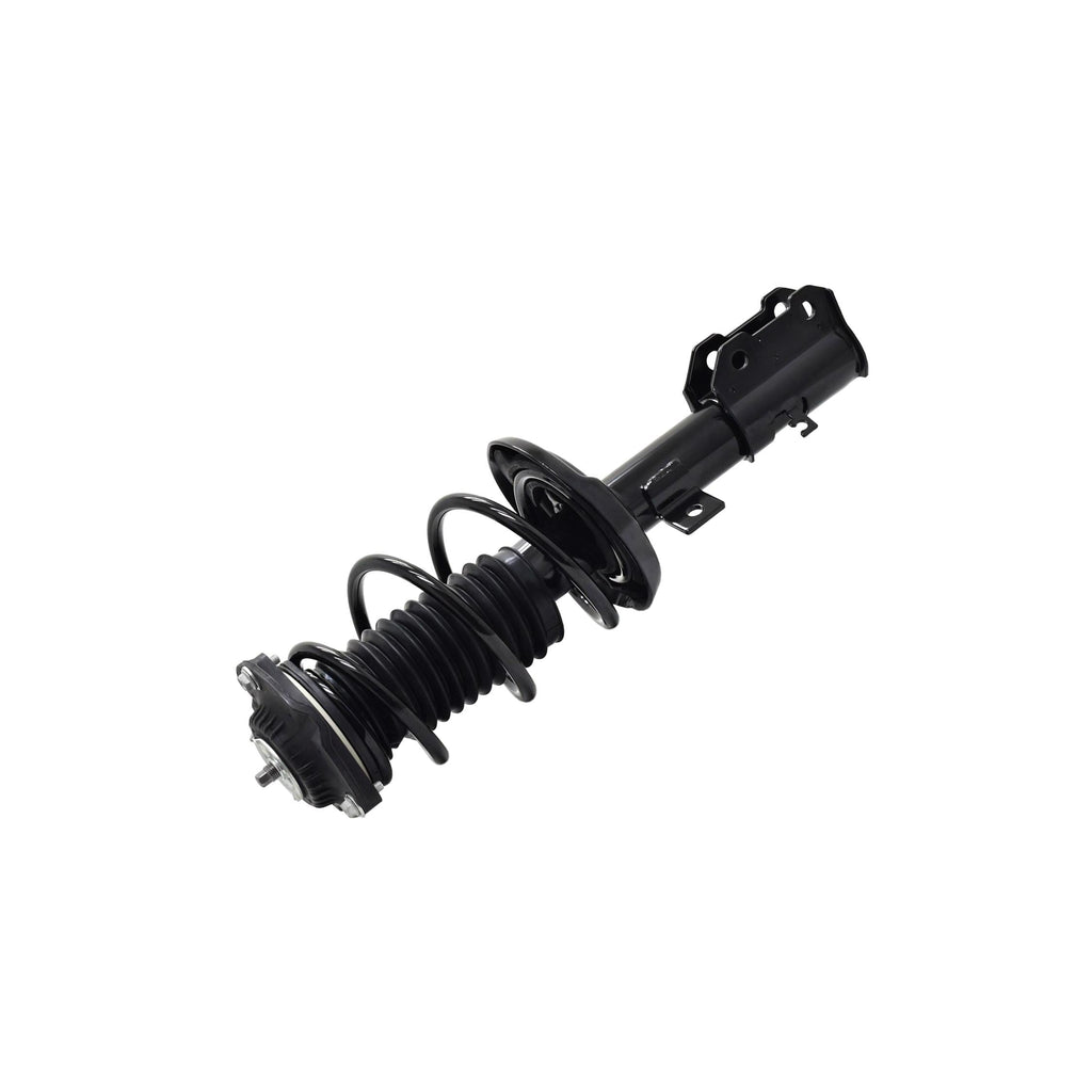 Suspension Strut and Coil Spring Assembly LS33-81941R