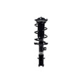 Suspension Strut and Coil Spring Assembly LS33-81961L