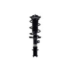 Suspension Strut and Coil Spring Assembly LS33-81961L