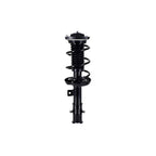 Suspension Strut and Coil Spring Assembly LS33-81961L
