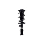 Suspension Strut and Coil Spring Assembly LS33-81961R