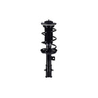 Suspension Strut and Coil Spring Assembly LS33-81961R