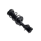 Suspension Strut and Coil Spring Assembly LS33-81961R