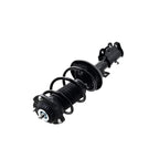 Suspension Strut and Coil Spring Assembly LS33-81961R