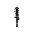Suspension Strut and Coil Spring Assembly LS33-81971B