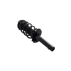 Suspension Strut and Coil Spring Assembly LS33-81971B