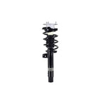 Suspension Strut and Coil Spring Assembly LS33-81981L