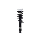 Suspension Strut and Coil Spring Assembly LS33-81981R