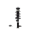 Suspension Strut and Coil Spring Assembly LS33-81991R