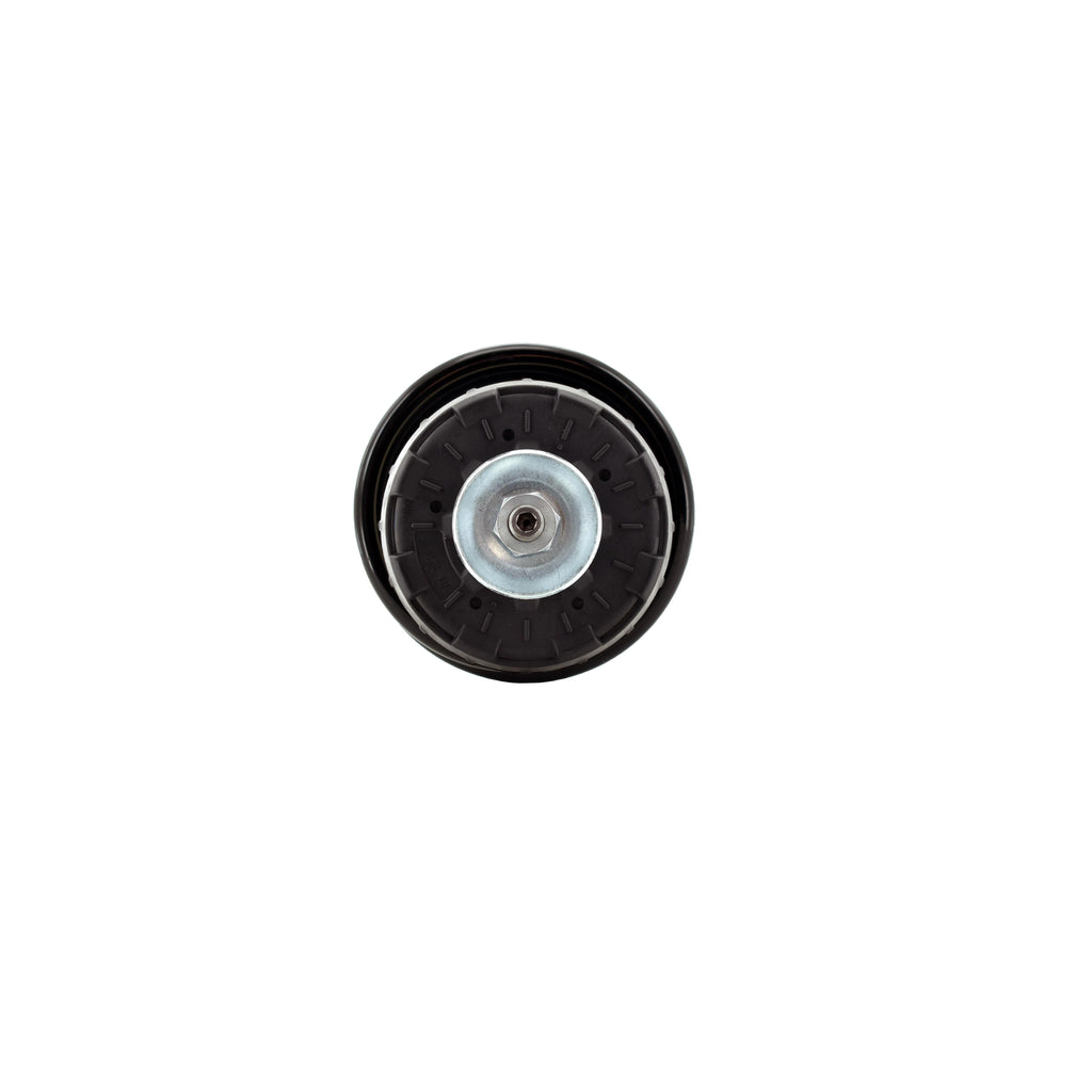 Suspension Strut and Coil Spring Assembly LS33-81991R
